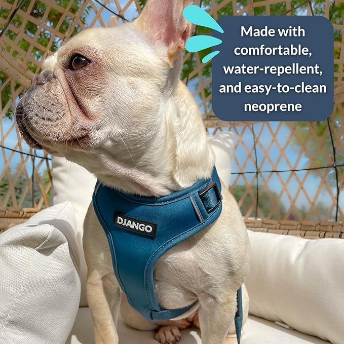 DJANGO Adventure Dog Harness - Stylish and Durable Small Dog Harness for Outdoor Adventures and Everyday Wear - Indigo Blue Neoprene Adjustable Harness for Dogs with Reflective Piping & Brass D-Ring