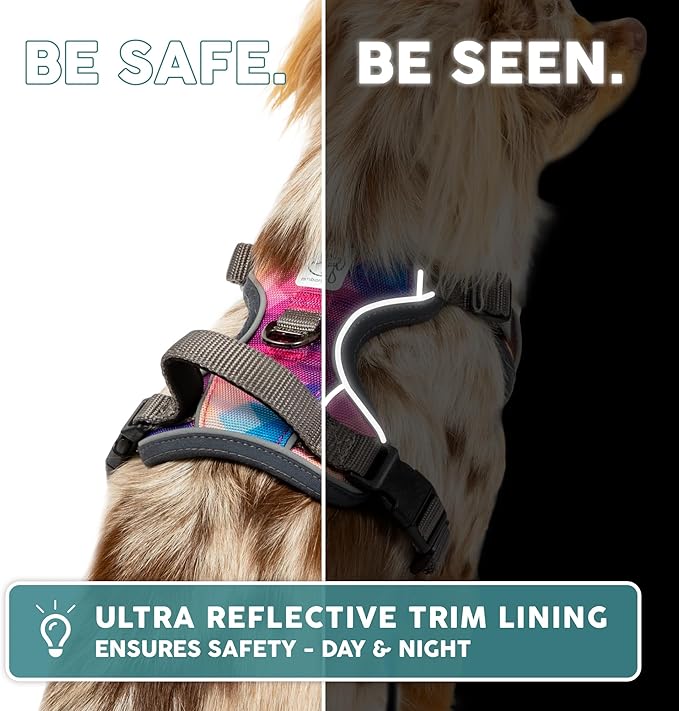 Embark Adventure Dog Harness, Reflective Trim XL for Extra Large Dogs No Pull - Military Grade Nylon, 2 Leash Clips & Gel Lined Handle. Soft & Padded Puppy Dog Harnesses for Any Breed