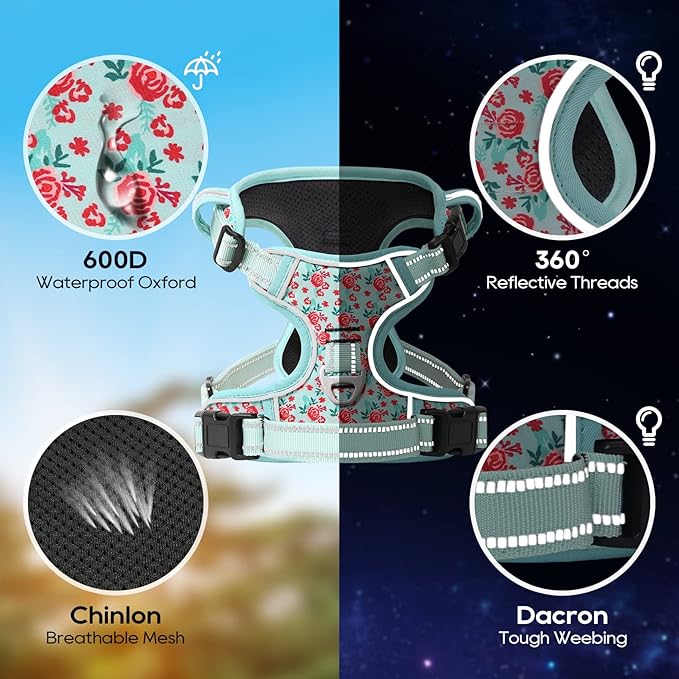 Timos Dog Harness, 3 Snap Buckles No-Pull Soft Padded Dog Vest with 2 Metal Leash Clips,Adjustable Reflective No Choke Pet Harness with Easy Control Handle for Small Dogs,Cyan,S