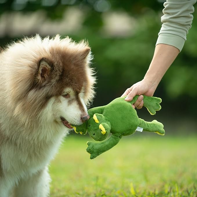 Squeaky Disk & Built-in Ropes Dog Plush Toy, Bustling Safari Collection, 15", for Dogs of All Breeds (Frog)