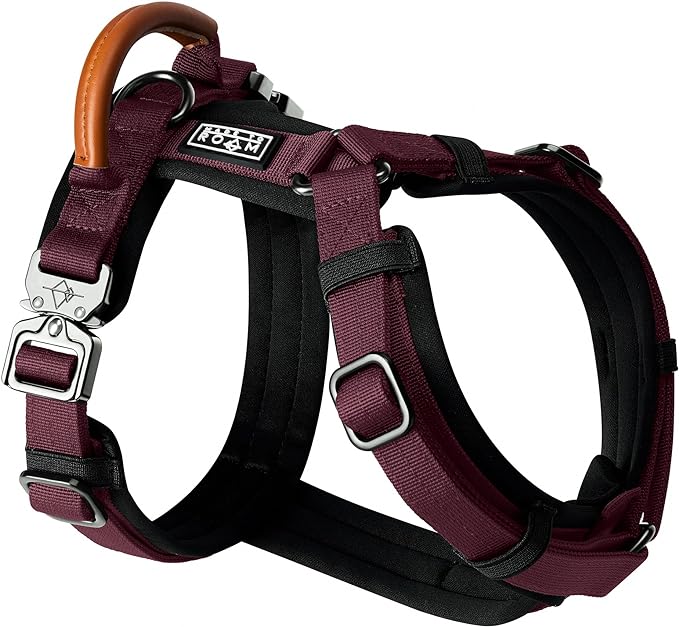 MADE TO ROAM Premium Explorer Harness - Y-Shaped Dog Harness with Adjustable Durable Nylon, Soft Padding, Metal Buckles and Leather Handle for Small, Medium, Large Dogs (Vermont Weekends, Size 4)