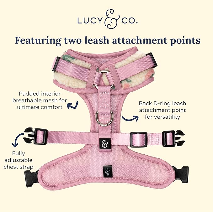Lucy & Co. The Bolt of Lightning No-Pull Dog Harness for Dogs – Comfortable Leash Training Product w/Adjustable Chest & Neck Straps - Cream Pink Floral Teddy - X-Small