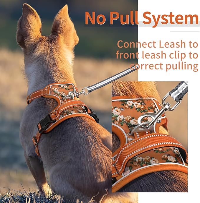 HEELE Dog Harness, No Pull Adjustable Padded Reflective Harness for Small Medium Large Dogs with Handle for Walking Training, Flower-Orange,S