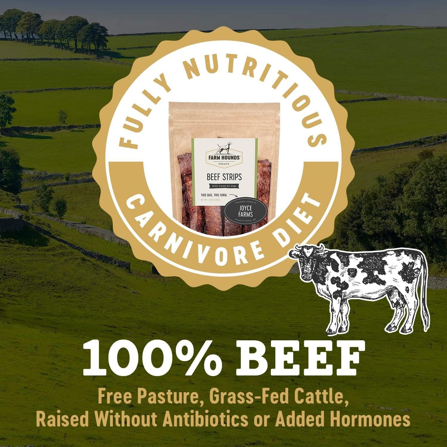 Farm Hounds - Beef Strips - Premium Natural Beef Jerky for Dogs - 100% Humanely Raised Cattle - Break-to-Size - Great for Training & Treats - No Added Fillers - Made in USA - 2 Pack