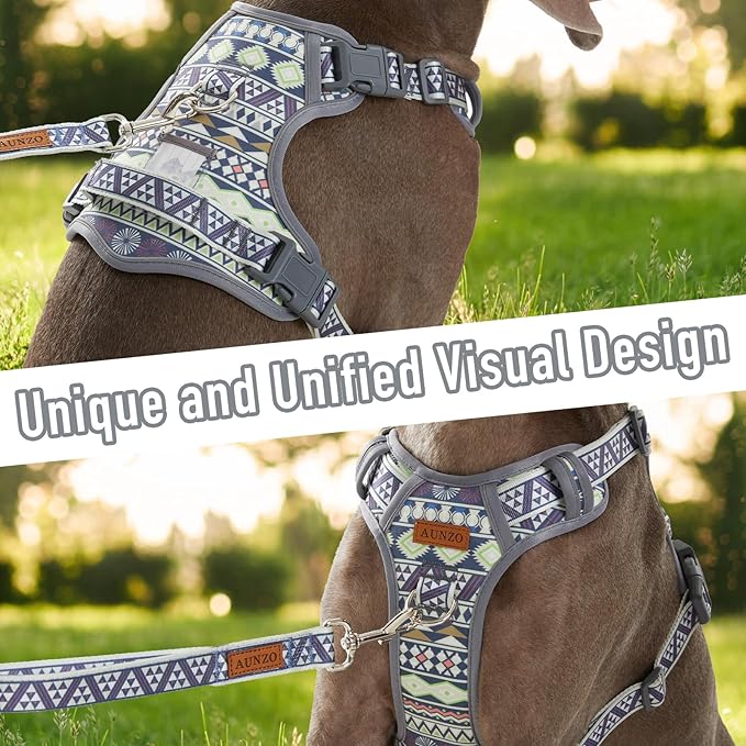 Dog Harness for X-Small Dog Breed, Light Pet Vest Harness with 2 Leash Clips and 3 Buckles, Easy to Wear, Adjustable Reflective Soft Padded, Boston Terrier, Poodles, XS