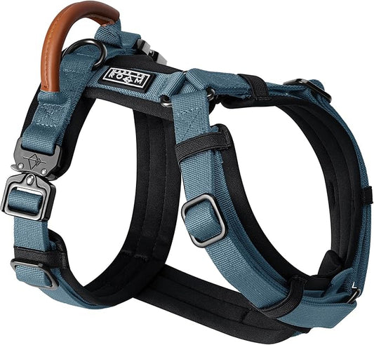 MADE TO ROAM Premium Explorer Harness - Y-Shaped Dog Harness with Adjustable Durable Nylon, Soft Padding, Metal Buckles and Leather Handle for Small, Medium, Large Dogs (California Horizon, Size 7)
