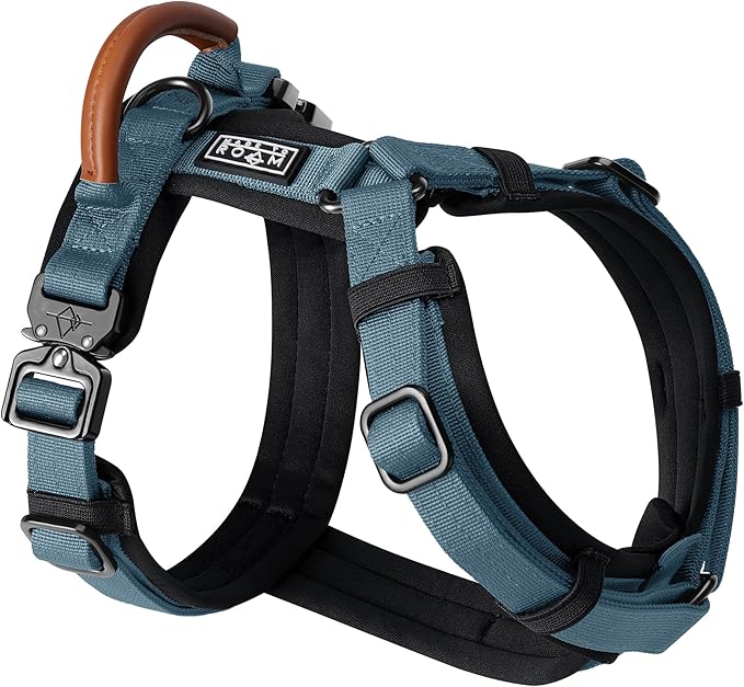 MADE TO ROAM Premium Explorer Harness - Y-Shaped Dog Harness with Adjustable Durable Nylon, Soft Padding, Metal Buckles and Leather Handle for Small, Medium, Large Dogs (California Horizon, Size 4)