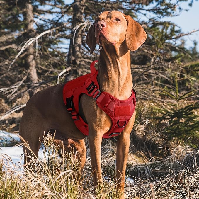 rabbitgoo Tactical Dog Harness for Small, Heavy Duty Pet Harness with Handle, No-Pull Service Vest Small Breed, Adjustable Military Dog Vest for Training Hunting Walking, Red, S