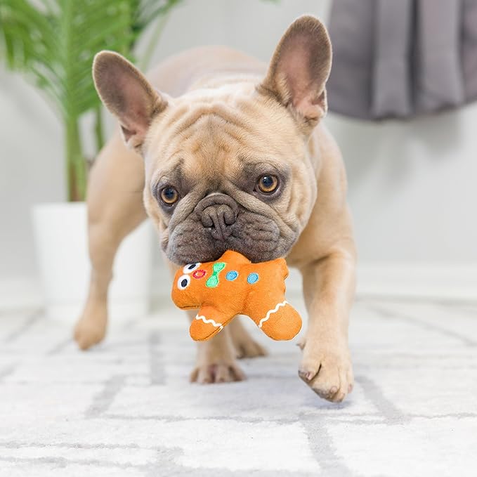 Huxley & Kent Tiny Tuff | Dunk & Crunch | Christmas Holiday Extra Tough Dog Toy for Small Dogs | 2-Pack Funny Dog Toy | Features Squeaker, Crinkle | Machine Washable