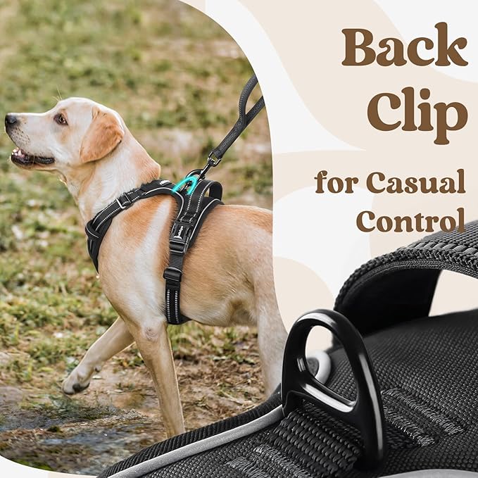 rabbitgoo Dog Harness Medium Sized, No Pull Pet Harness with 3 Buckles, Adjustable Soft Padded Vest with Control Handle, Walking Reflective Pet Vest for Medium Dogs, Black, M