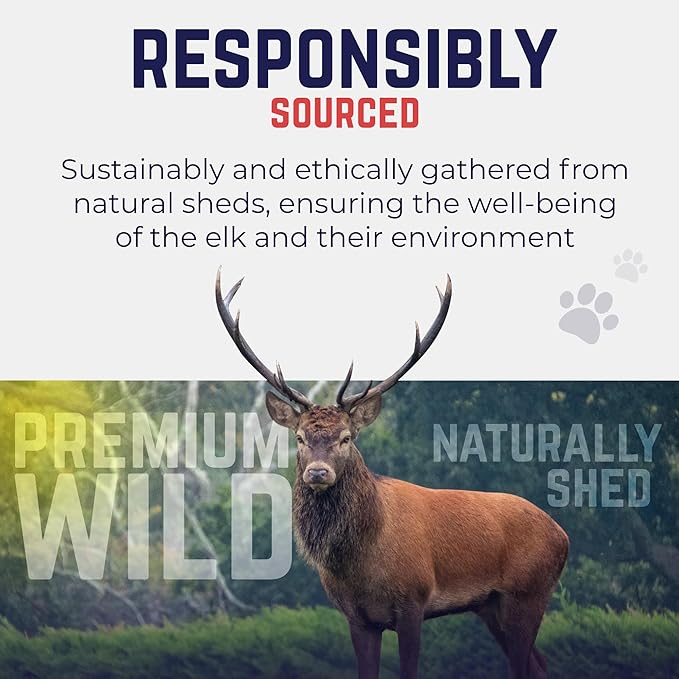 Devil Dog Pet Co. Elk Antlers for Dogs, Monster 9"+, 1 Pack, Grade A Long Lasting Chew for Aggressive Chewers, Premium USA Naturally Shed Antler – Healthy, No Odor, Durable Dog Chew