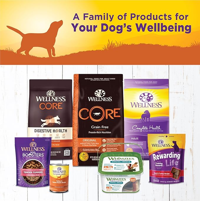 Wellness Complete Health Natural Wet Canned Dog Food Turkey & Sweet Potato, 12.5-Ounce Can (Pack of 12)