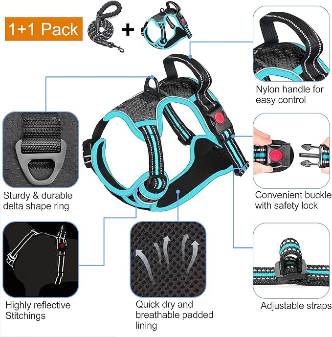 No Pull Dog Harness Adjustable Reflective Oxford Easy Control Medium Large Dog Harness with A Free Heavy Duty 5ft Dog Leash (S (Neck: 14"-17", Chest: 18.5"-20"), Black/Blue Harness+Leash)
