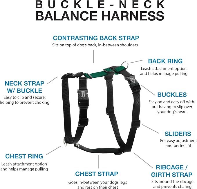 Blue-9 Buckle-Neck Balance Harness, Fully Customizable Fit No-Pull Harness, Ideal for Dog Training and Obedience, Made in The USA, Hunter Green, Extra Small