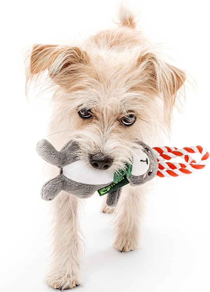 Dog Toys | Holiday Plush Toy Arctic Hare Stuffed Animal for Dogs | Small Eco Friendly Toy - Easy to Clean and Made from Non Toxic Materials