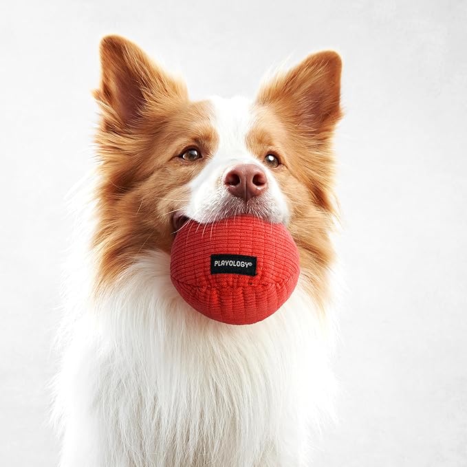 Playology Dog Toys | Squeaky Plush Toy Ball for Dogs | Jumbo Beef Scented Toy - Easy to Clean and Made from Non Toxic Materials