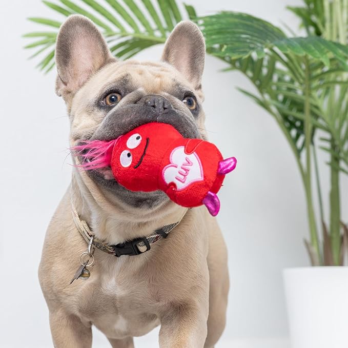 Huxley & Kent Tiny Tuff | Love Bugs | Valentine's Day Extra Tough Dog Toy for Small Dogs | 2-Pack Funny Dog Toy | Features Squeaker, Crinkle | Machine Washable