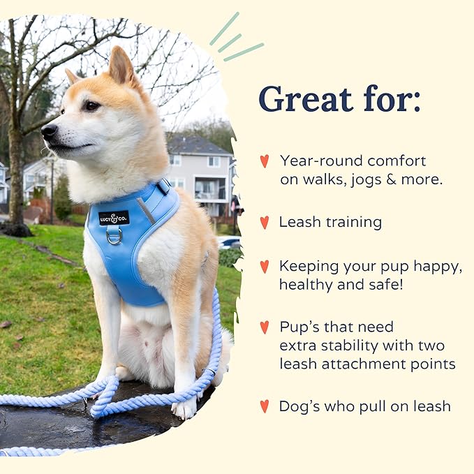 Lucy & Co. The Denim No-Pull Dog Harness - Size X-Large - Vest to Stop Pulling & Walk Easy - Comfortable Leash Training Product w/Adjustable Chest & Neck Straps