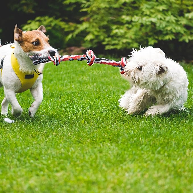 Dog Rope Toy 4 Pack - Puppy Teething Toys for Small Breed - Indestructible Dog Chew Toys for Aggressive Chewers - Cotton Tug of War Dog Toys for Boredom, Teeth Clean