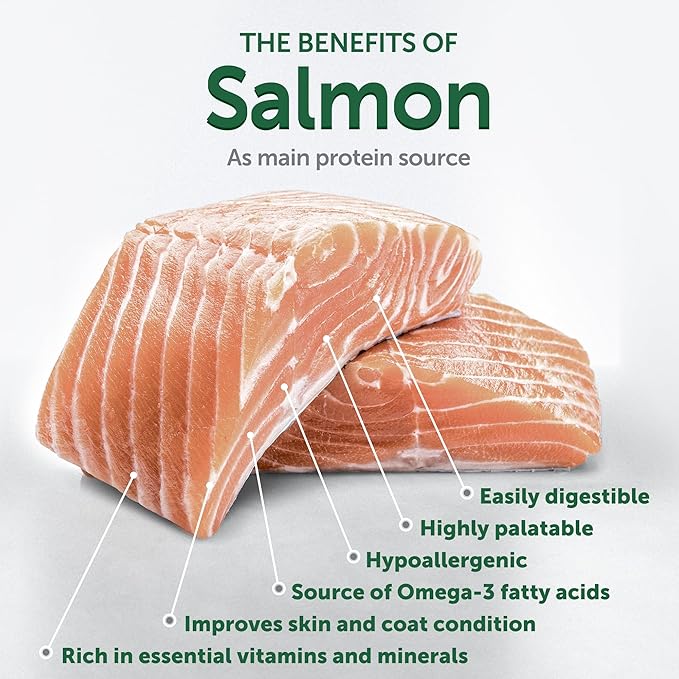 Nature's Protection Small & Large Breed Dry Dog Food Salmon - High Protein, Grain Free Tear Stain Diet - Dog Kibble for Puppy & Adult Dogs with Red Fur (Superior Care - Salmon, 8.8 lb)