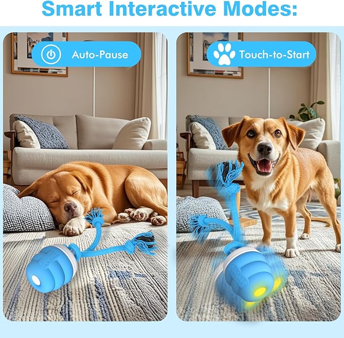 Interactive Dog Toys Balls,Squeaky Dog Toy Active Rolling Ball for Training,Fit for Medium/Small Puppy and Boredom Dogs,Rechargeable Smart Automatic Dog Toys(Blue)