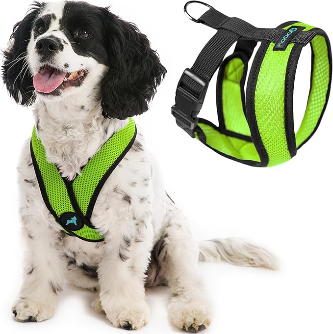 Gooby Comfort X Head In Harness - Green, X-Large - No Pull Small Dog Harness, Patented Choke-Free X Frame - Perfect on the Go Dog Harness for Medium Dogs No Pull, Small Dogs for Indoor and Outdoor Use