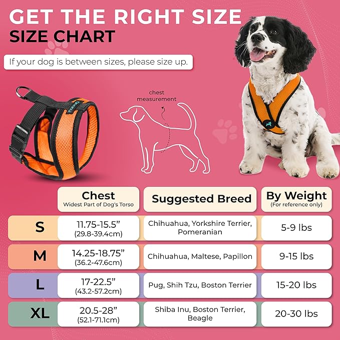 Gooby Comfort X Head in Harness - Orange, Large - No Pull Small Dog Harness, Patented Choke-Free X Frame - On The Go Dog Harness for Medium Dogs No Pull or Small Dogs for Indoor and Outdoor Use