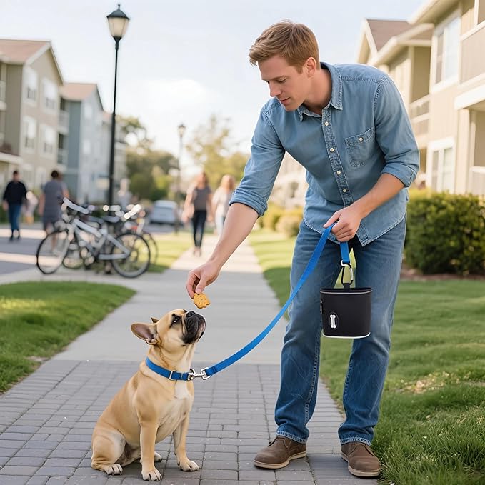 Dog Treat Pouch with Magnetic Closure, 3 Wear Ways, Side Zipper for Poop Bag Dispenser, Large Treat Bag with Reflective Strip for Training, Travel and Night Walking (1Pack-Black)