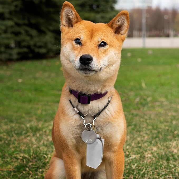 HIFA Genuine Leather Dog Poop Bag Holder, Poop Bag Holders for Leashes - Soft Touch Rustic Leather, Metal Clips and Easy Access to Pet Waste Bags- Dog Poop Bag Dispenser for Outdoor Walking