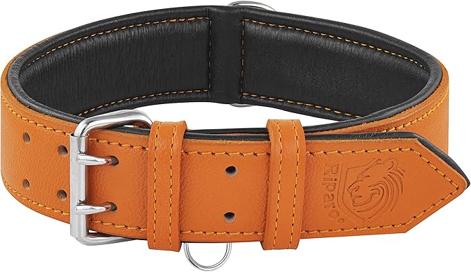 Riparo Orange Leather Dog Collar - Heavy Duty Wide Dog Collar for Small, Medium, Large and Extra Large Dogs with Dog Tag Holder (M: 1" Wide for 13.5”-17.5” Neck, Orange)