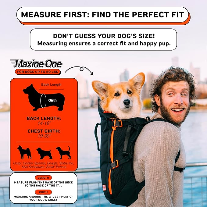 The Maxine One Medium Dog Carrier by Little Chonk | Dog Backpack Carrier for Medium Sized Breeds | Adjustable Front Facing Pet Carrier for Travel | Dog Hiking Backpack - Chonkcrete Gray