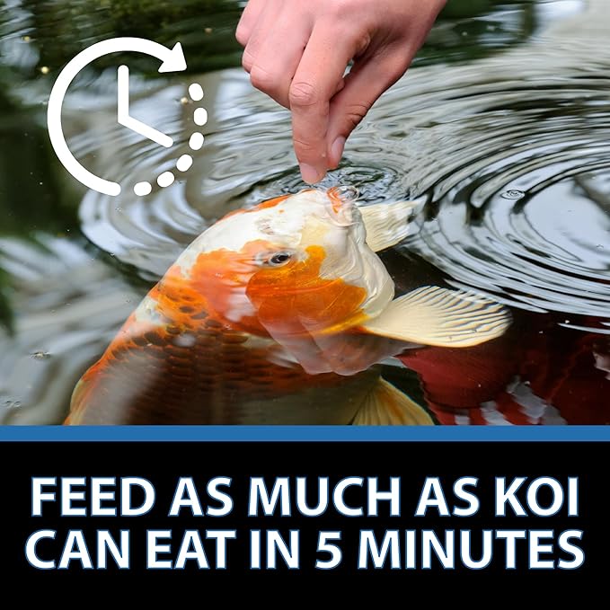 CrystalClear Platinum Fish Food, Premium Floating Pellets for Koi & Goldfish – Boost Growth, Color, and Wellness in Backyard Ponds & Water Gardens, 5mm Pellets, 17.6 Pounds