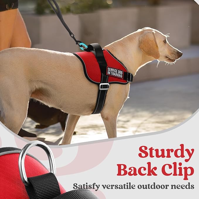 rabbitgoo Dog Harness for Small, Easy On Pet Vest with One Buckle, No Pull Adjustable Service Harness with D-Ring & Handle, Reflective for Safety Walking, Training, Red, S