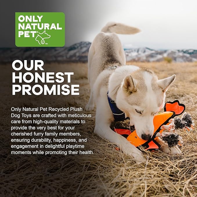 Only Natural Pet Sea Creatures Recycled Plush Dog Toys - Durable Double-Stitched Design with Internal Squeaker, 6 Rope Tug Arms & Plush Tail and Pincers - Squeaky Pet Toy | Lucy the Lobster, 11" x 12"