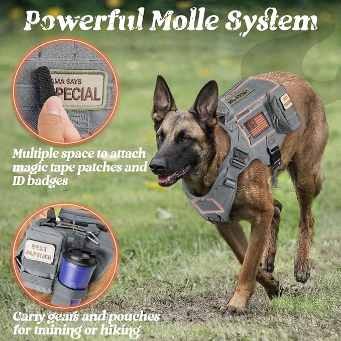 rabbitgoo Tactical Dog Harness for Large, Heavy Duty Pet Harness with Handle, No-Pull Service Vest Large Breed, Adjustable Military Dog Vest for Training Hunting Walking, Grey, XL