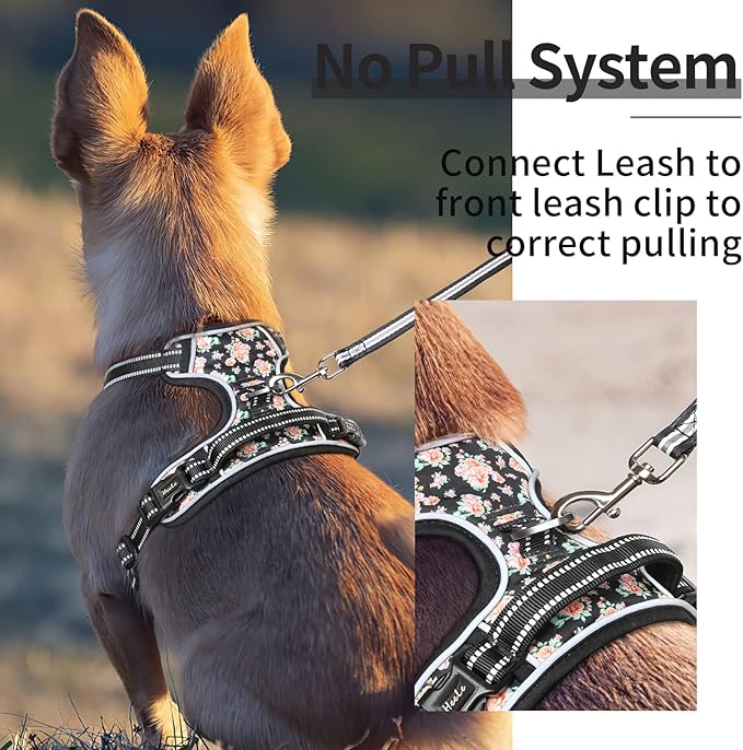 HEELE Dog Harness, No Pull Adjustable Padded Reflective Harness for Small Medium Large Dogs with Handle for Walking Training, Flower-Black, XL