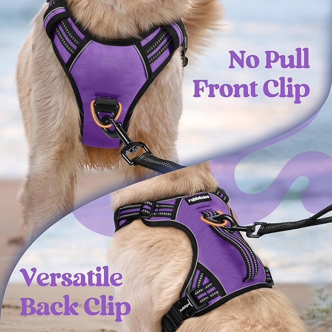 rabbitgoo Dog Harness Small Sized Dog, No Pull Pet Harness with Soft Padded Handle, Adjustable Reflective Vest with 3 Buckles, Easy Walking Harness with 2 Leash Clips, Purple, S