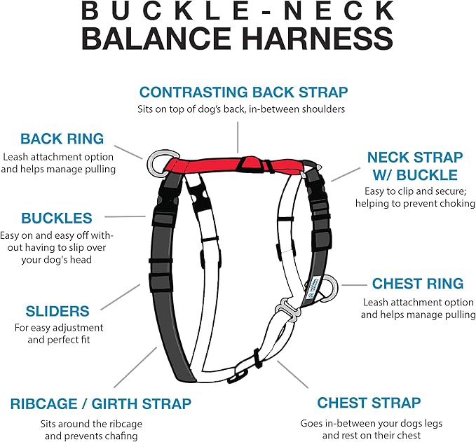 Blue-9 Buckle-Neck Balance Harness, Fully Customizable Fit No-Pull Harness, Ideal for Dog Training and Obedience, Made in The USA, Red, X-Small