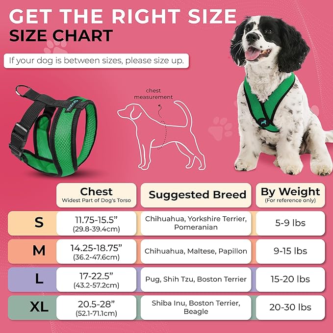 Gooby Comfort X Head in Harness - Hunter Green, Small - No Pull Dog Harness with Patented Choke-Free X Frame for Small to Medium Dogs Indoor/Outdoor Use