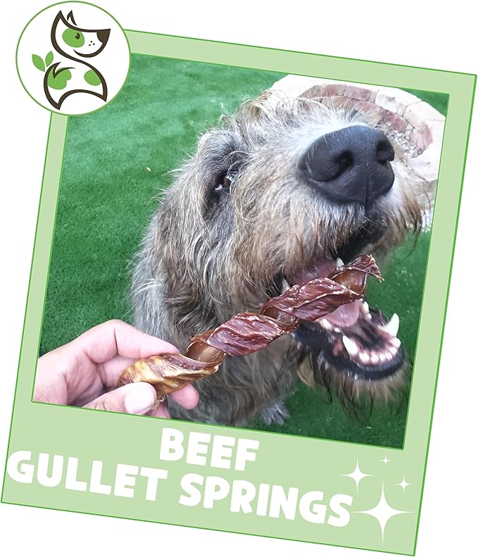 Nature Gnaws Beef Gullet Springs for Dogs 7-8" (6 Count) - Natural Beef Jerky Stick Dog Chew Treats - Rawhide Free