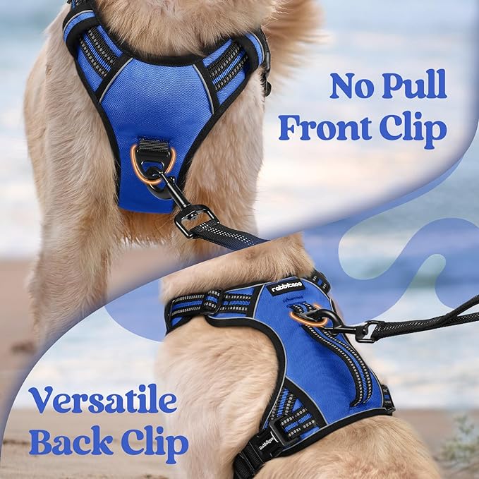 rabbitgoo Dog Harness for Large Dogs, No Pull Pet Harness with Soft Padded Handle, Adjustable Reflective Vest with 3 Buckles, Easy Walking Harness with 2 Leash Clips, Blue, L