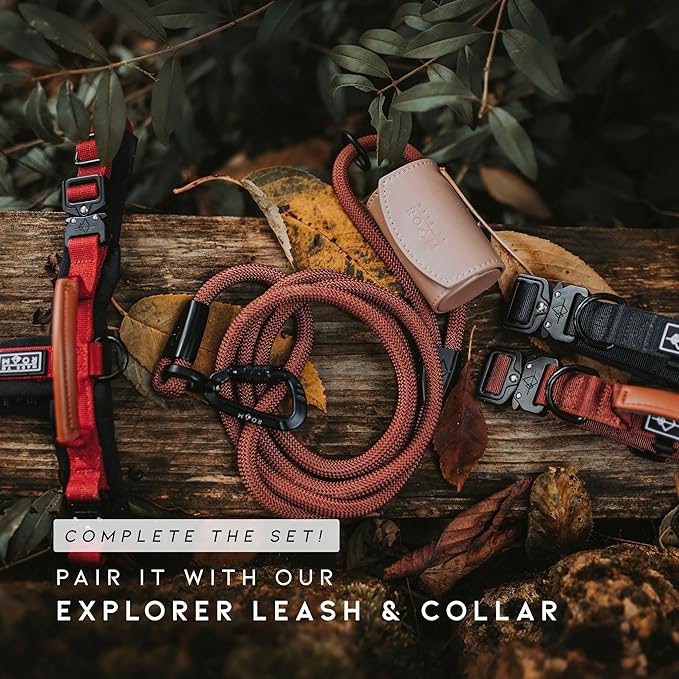 MADE TO ROAM Premium Explorer Harness - Y-Shaped Dog Harness with Adjustable Durable Nylon, Soft Padding, Metal Buckles and Leather Handle for Small, Medium, Large Dogs (Oregon Haze, Size 6)