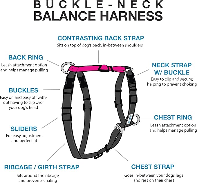 Blue-9 Buckle-Neck Balance Harness, Fully Customizable Fit No-Pull Harness, Ideal for Dog Training and Obedience, Made in The USA, Hot Pink, Large