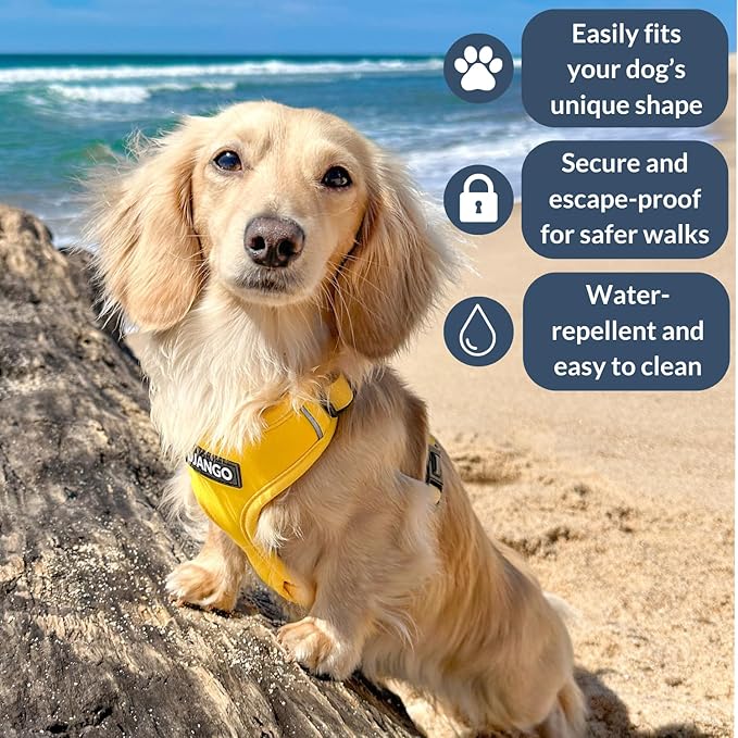 DJANGO Adventure Dog Harness - Stylish Small Dog Harness for Outdoor Adventures and Everyday Wear - Dandelion Yellow Neoprene Adjustable Harness for Dogs with Reflective Piping and Solid Brass D-Ring