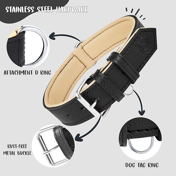 Riparo Dog Collars for Medium Dogs, Genuine Leather Dog Collar, Medium Dog Collar (M: 1" Wide for 13.5”-17.5” Neck, Black)