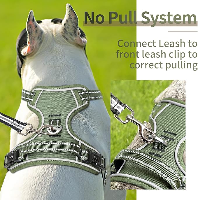 HEELE Dog Harness, Dog Harness for Small Medium Large Dogs No Pull Adjustable Padded Reflective Harness with Handle for Walking Training, Green, XL