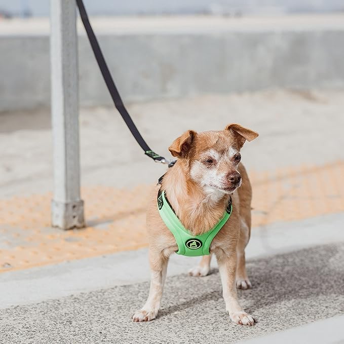 Gooby Escape Free Sport Harness - Lime, Large - No Choke Step-in Patented Neoprene Small Dog Harness with Four-Point Adjustment - Perfect on The Go Dog Harness for Medium Dogs No Pull and Small Dogs
