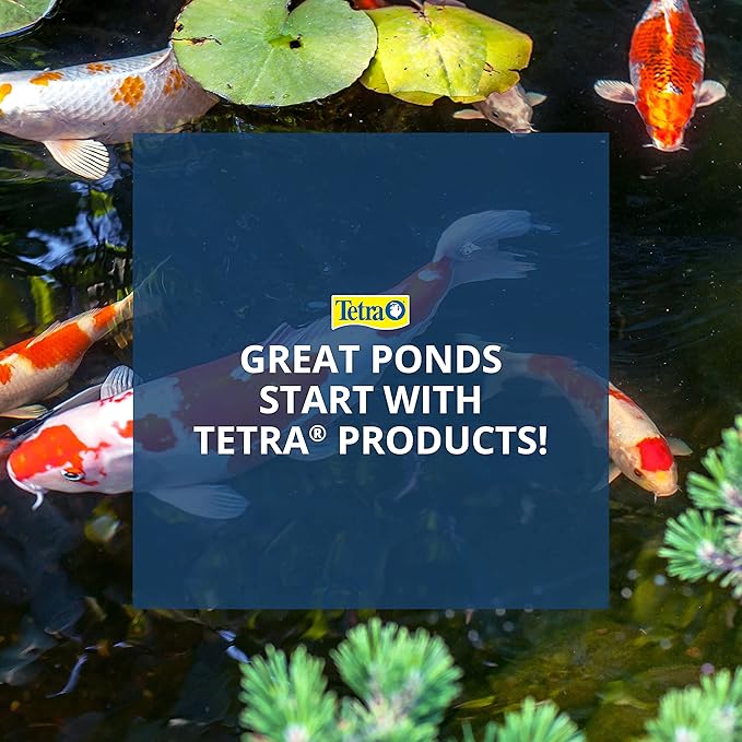 Tetra TetraPond Pond Sticks 3.53 Ounces, Pond Fish Food, for Goldfish and Koi, Pond Pond Sticks, Healthy Nutrition for Goldfish and Koi (Pack of 2)