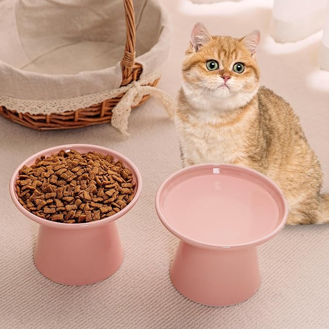 6.2 Inch Extra Wide Elevated Ceramic Cat Bowls, Food and Water Bowl Set for Elder Big Cats Small Dogs, Raised Design for Pet Easy Eating, Protect Cat's Spine Set of 4(Pink)