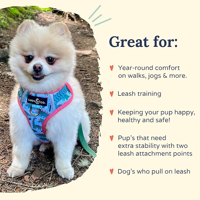 Lucy & Co. The DinoROAR No-Pull Dog Harness - Size X-Small - Vest to Stop Pulling & Walk Easy - Comfortable Leash Training Product w/Adjustable Chest & Neck Straps